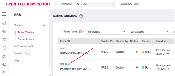 Screenshot MRS-Instanz